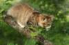 img_3142_small.jpg