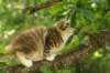 img_3175_small.jpg