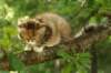 img_3181_small.jpg