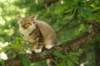 img_3185_small.jpg