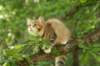 img_3191_small.jpg