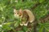 img_3193_small.jpg