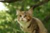img_3199_small.jpg