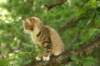 img_3201_small.jpg