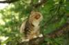 img_3202_small.jpg