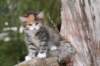 img_7666_small.jpg
