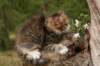 img_9982_small.jpg