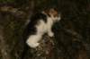 img_5502_small.jpg