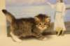 hazelgirl10_small.jpg