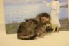 hazelgirl14_small.jpg