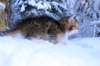 huldah9viikkoa20114_small.jpg