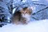 huldah9viikkoa20117_small.jpg