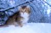 huldah9viikkoa20118_small.jpg