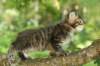 img_3890_small.jpg