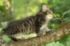 img_3897_small.jpg