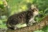 img_3899_small.jpg