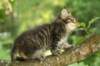 img_3900_small.jpg