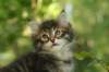 img_3908_small.jpg