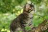 img_3913_small.jpg