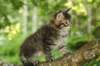 img_3914_small.jpg