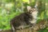 img_3918_small.jpg