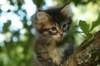 img_3925_small.jpg