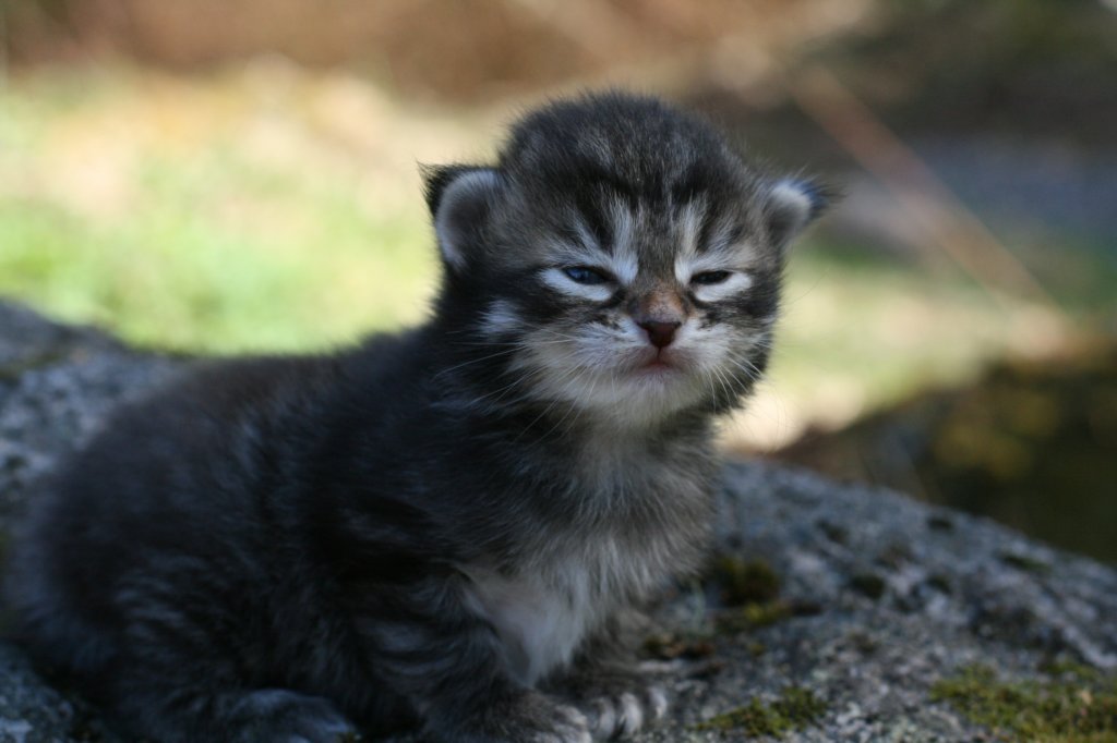 ibriboy2weeks1652013.jpg
