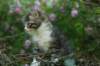 img_4044_small.jpg