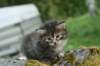 img_1643_small.jpg