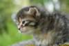 img_1646_small.jpg
