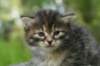 img_1648_small.jpg