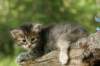 img_1679_small.jpg