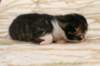 img_8935_small.jpg