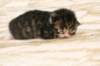 img_8937_small.jpg