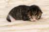 img_8941_small.jpg