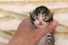 img_8945_small.jpg