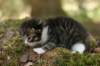 img_0090_small.jpg