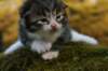 img_0121_small.jpg