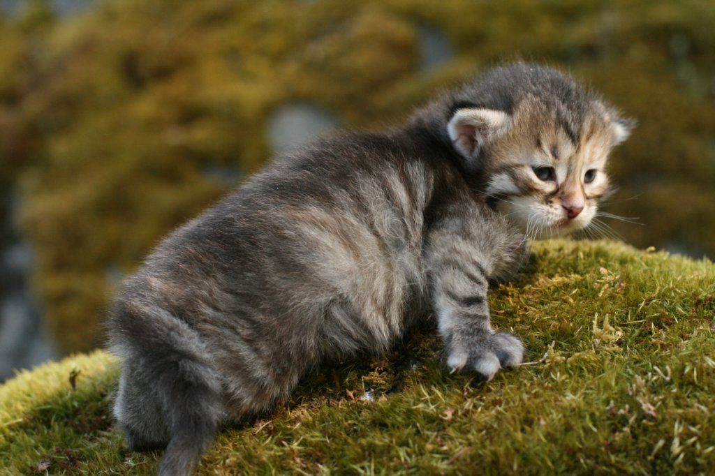 ilanagirl2weeks1652013.jpg