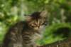 img_3944_small.jpg