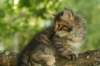 img_3946_small.jpg