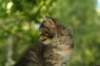 img_3947_small.jpg