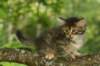 img_3951_small.jpg