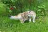 img_6647_small.jpg