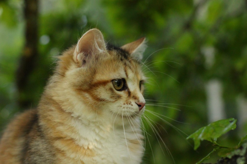 img_7733.jpg