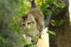 img_7749_small.jpg