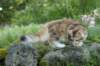 img_7763_small.jpg