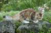 img_7764_small.jpg