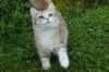 img_7772_small.jpg