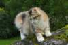 img_7790_small.jpg